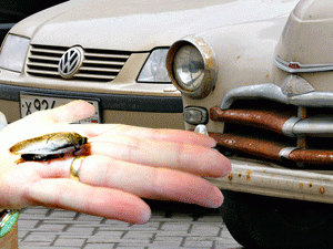 �������� � ����� ������� ������, ��� ����� ������������ ��������-���������. � ������ ����������� �������������� ������������ ��������� �������������