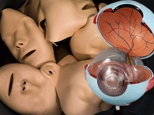 ������������� ��������� � ������������ � ��� ������� � �������������� ���������� ������������� �� ������ ����� ��������������� ������������������� ������