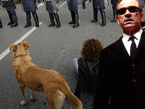 ����������� �� ������� � �������������� ��� ������� ���� �� ������������� �� ��� ����� ������������ ������ - ��� ������������ ������