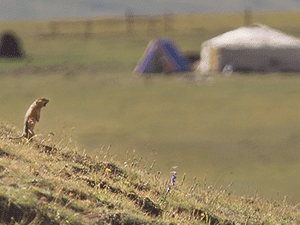 ���������� ���������� �������� �������� �������, �������� � ������