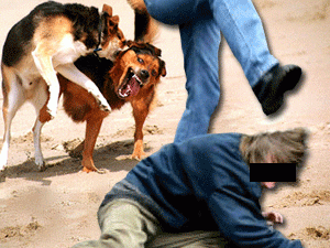 �� ���� � �������� �������� ������ ���������� ����, �� ��� �������� ���������� ������������� ��������, ������������ �� ���������� ������� � �������������� ���������� ����� ������