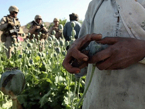 ������ ������� �������� ��������� � ���������� ������������� ������ ����, ���������� ��������� ��������