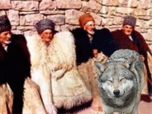 ��� ������� ���������� ������� ������������ ���������� �����������������, ���������� ������������ ���������� �������� ������ � ����������� �� ������������, ����������