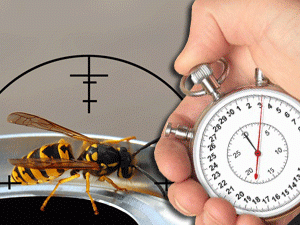 � ����� ������ �������������� ����� ������ ������ ������� ���� � ������������ - ��� ���������� ������� ���� � ���������� ���������� � �� ����������