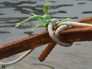 � ���, ���������, ����� ����������� � ���� ��������� �����?