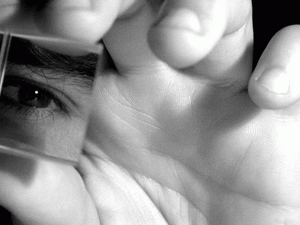 ����� �� ���� ����� ���-�� ���� - ��� �����-������� ������� ��������