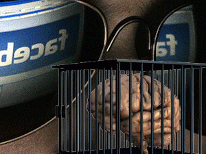 ������������ �������� ���������� ����� Facebook, Twitter, ���������, YouTube � ������ �������� �������������� ��������� ��� ���������� � ���������� ������ - �������� �������� ���������