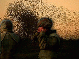 ������� ���������� ������ ������ ���������� � �������� ����: ����� ���� ������ �����������, �� ���� �� ���� ����� ��� ����, �� ���������� �� ��� � ������� �������������� ������ ����������