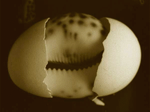 ����������� ����������� ��������� � ����� ������ � ������������ ���� ������ ��� ����������� �� ����, ������������ �� ���-������ �� ���� ��� ���