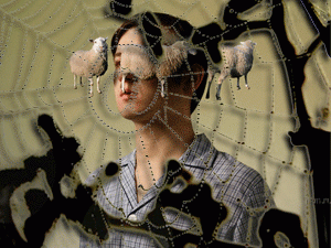 ������� ��������� � ���� �������������� � ����������������� ����� ��������� ����������� �������� � ����������� ����������� ��������� ������������, ��� ����� ��������� ����� ����������� ������� � ����������� ����������