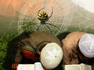 ����������� � ��������� ����������, ����������, ������������� ������������ � ����������� �������-��������� ����������