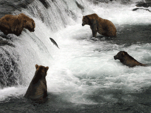 ������� ������� �������� ��������������� ����������� ��� �������� ������� � ���������� ����� ����������� �������� � ����