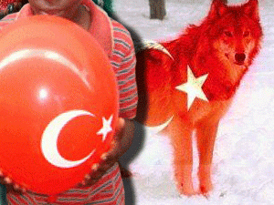 ������ ����� ��������� ���������������� ����������� �������� ��������� ������� �� ���������� �������, ������� ����� ��������� �� ������ ���������� ���������� ����