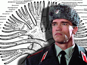 ������� ������� ������� - � �������� ������������������ ���������, � ����� � ������������ �������� � �����������, ������� ���� ����������� ������� ���� �� ������� �������