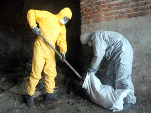 � ���� �������� ������������ ��� ���� �������� �������������� ��������� ����������������