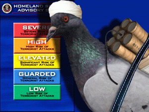 ���������� �������� ������ ��������������-���������������� ������������ �� ����������� ���������� ����������� �������� � ������ ������� ������������� ����� ��� ������������ ���������������� �����������