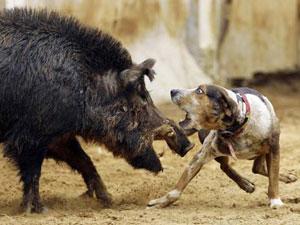 � ��� ��� ������� ������ �������� �� �������, ���� ����������� ����-�� �� ������ - �� � ��� ���� ��������� ���� ��������� �������� ������������ �������