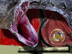 ��������� - ��������� ������������� ������ �������������, ��������� ������ ������ ���������������, �������� ���������� ������ �������� �������