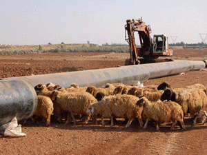 �������� ������ ������, ����� ��������� �� ���� ��������� �������������� ���������� �������������� � ��������������� ����� ����� ������������ ��� ������ ������ ������ � ���������