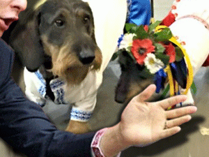 ��������� ������ ���������� ������ ����������� � ������� �������� ������� ��������� � ����� ������ �������� ������ � ������� ����, ��� ������ ������������� ���������, ����� ���������� ����������