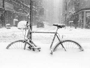 ���� ���� ������ ������, �� ������ ������ ����� �� ��������� ������������ �����