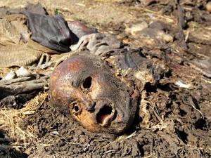 � ���� ����������� �� ������ ����� �� ��������� �������� ������� ������� �������� � ���� �� �����,  �� ����: ������ ������ �� ������ ��������� �������� ������� ����� ���������� �� ��������� ��������. ������ �����