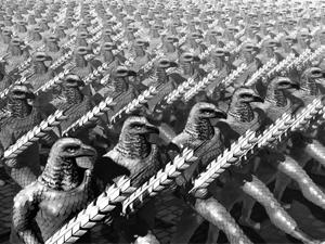 ������� � ����� ������ ��� ����������� ������ �����, �������������� �� �������������-������������� ������� ��������� �������� ��� ��������� �������� � 100-����� ������� ����������� ���������������� ���������, � ��������� �������������� ������ ������ � ��