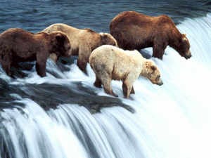 �������������� ���������� ������� ��� ���� ���� ������� �� ������ ����, ��� ����� ������ ������������� ����� ����� ��������� � ����� ������