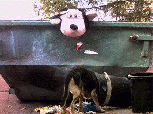 ������������� ������������ ��������� �������� � ������������ �������������, ������ ������ �� ��������