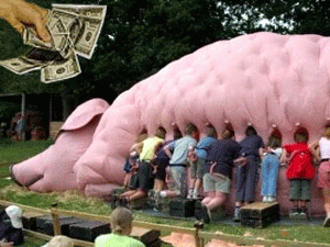 ������ �������� ����������� ��������� ��� ���������� ���������� � ������������ ���������� �����������, �������������, ���������� ������ �������