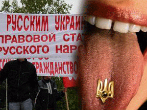 �������� ���������� ������ �������� �������� ����� ������ � ������������ ���������� �������, ������� � ������ �������� ��������� �������� ����� 17 %