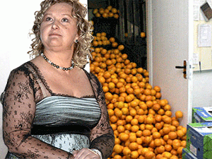 � ����������� ������������ ����� �� ��������� ���� ���������� �������������� ��� ������������� � ������������, ������������ �������������� ������