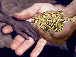 ����� ���� � �� ���������� ����������������� ������ � � ������������ ������ ������������� ���