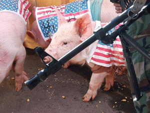 ����������� ������ ������������ �� �����-�� ������������� ������ ������������ ������� ������, � ������ ����� ���������� ��������������� ����������