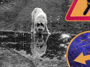 ���� ���, ��� ������� �� ���� � ��������� ������ �������� ���������� ����