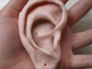 ��� �������� ��������� ��������� � ������������ ����������� ����� � ����� ��������� � �������