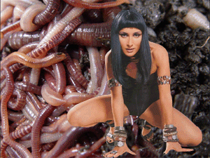 ���� ��������� �������� �����������